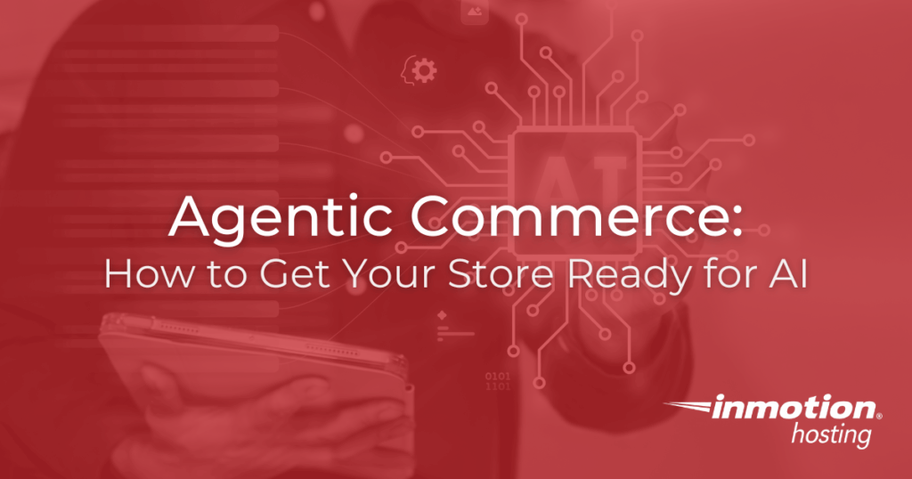 Agentic Commerce How to Get Your Store Ready for AI - Hero Image